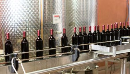 Diseño sin título (20)